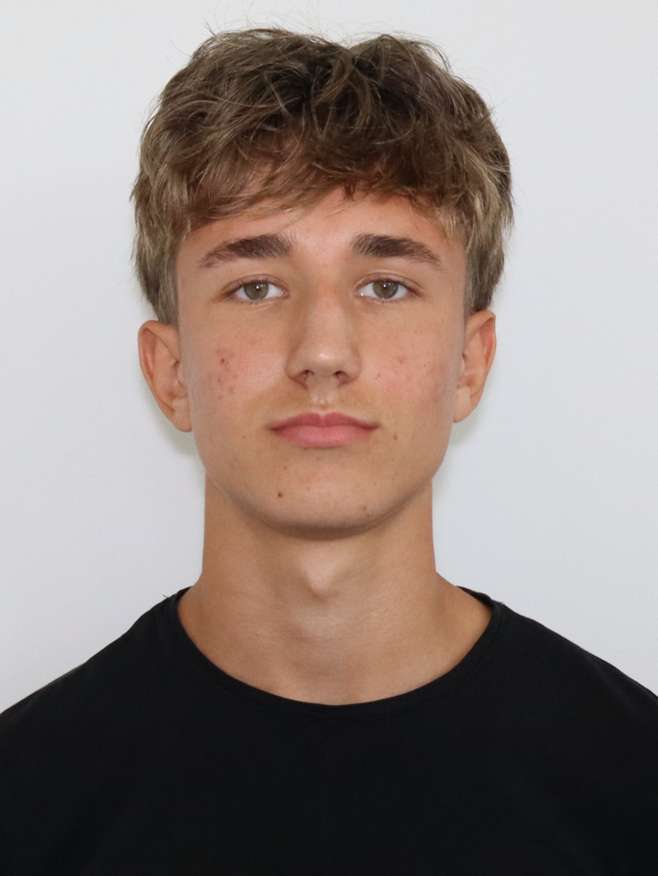 Hamza Alicevic