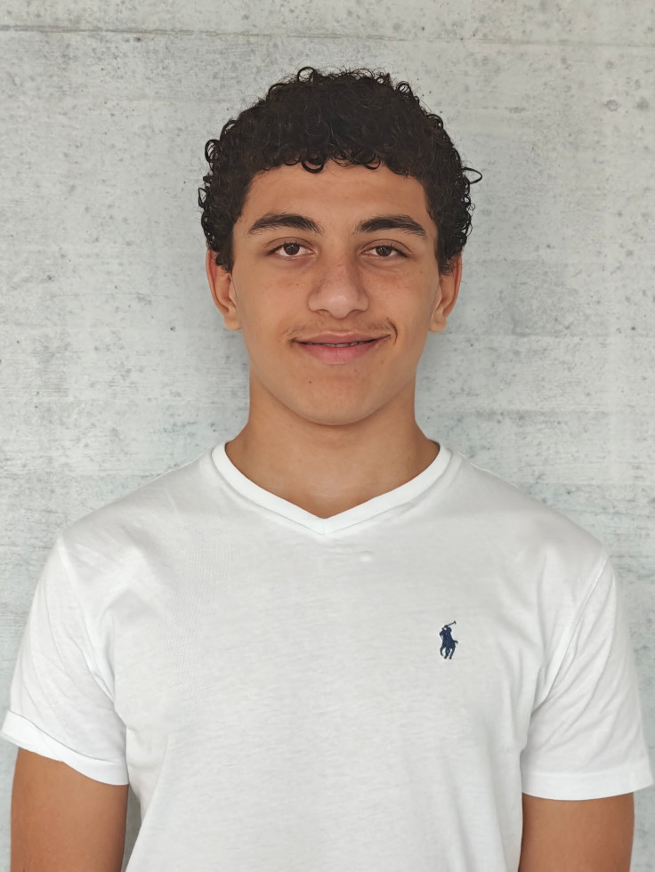 Diemo-Moreno Bollhalder