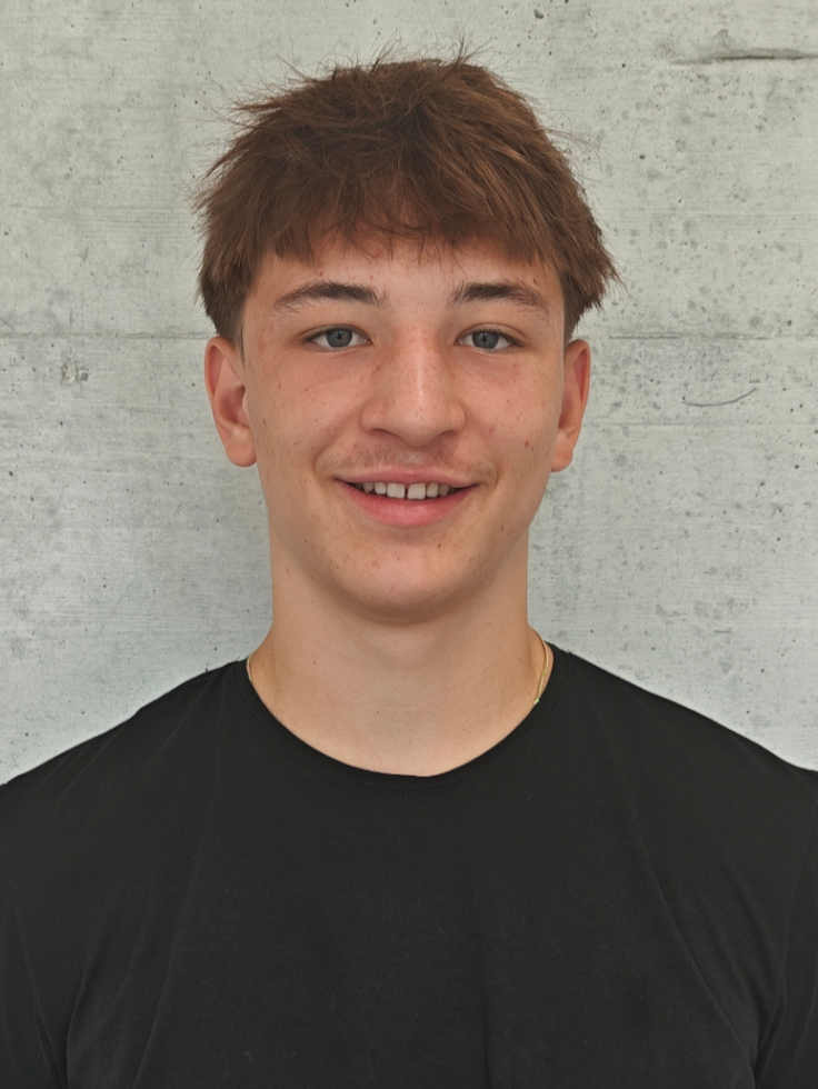 Luis Wohlfahrt