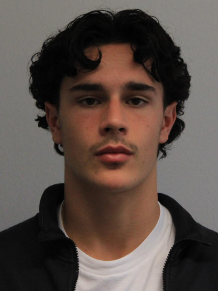 Diego Ziani