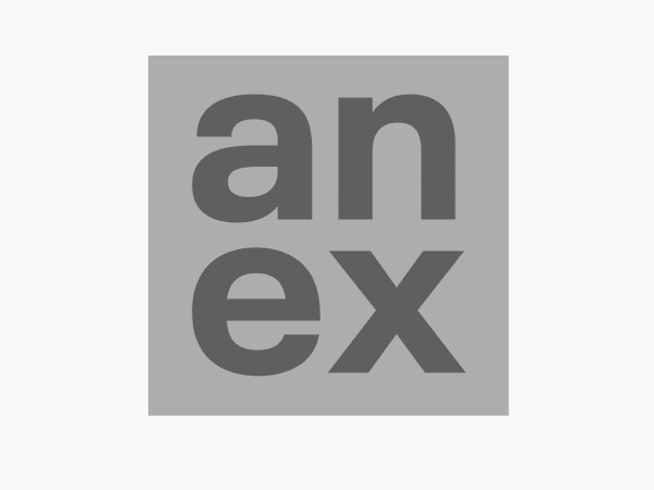 Anex Ingenieure AG